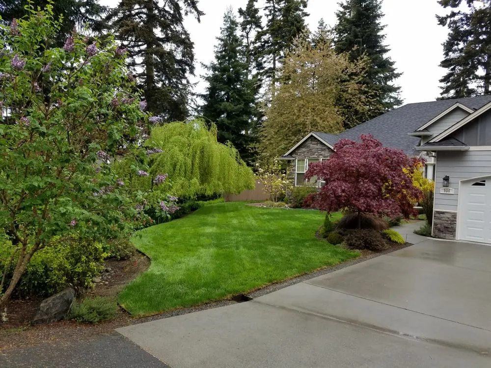 Top-rated yard cleanup service for residential properties across Oak Harbor, WA - Bl Landscapes