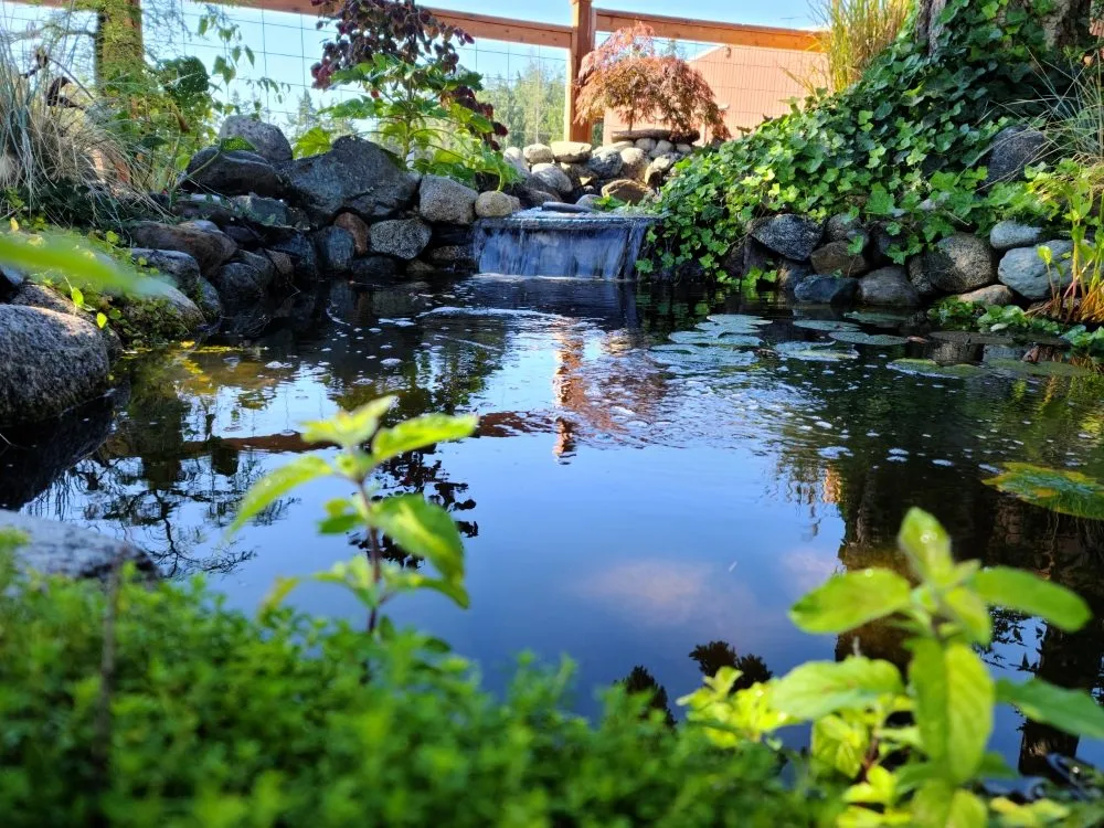 Expert landscape installation experts serving Oak Harbor, WA - Bl Landscapes