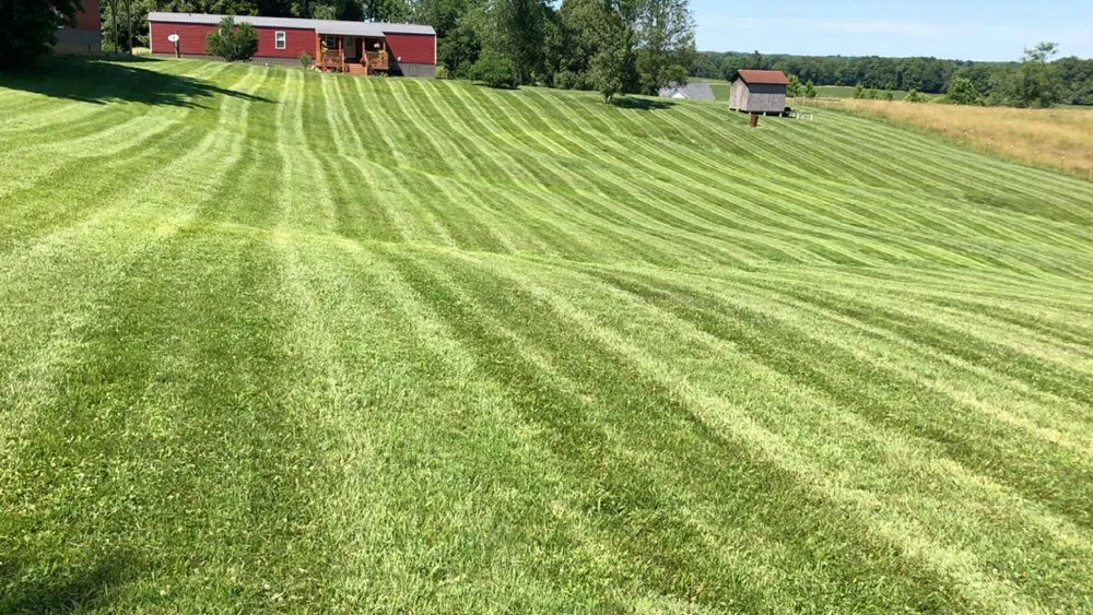 Professional yard cleanup service for beautiful yards across Owensboro, KY - B&L Lawn and Landscape