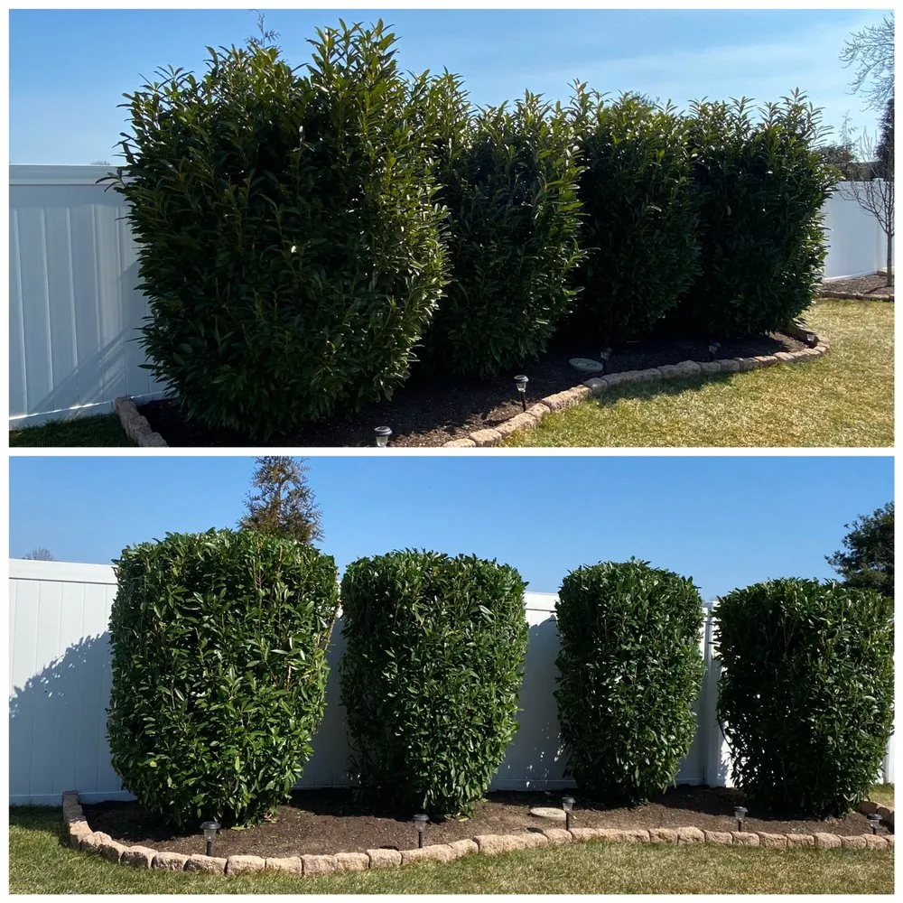 Professional outdoor landscaping for year-round maintenance in Woodbury, NJ by BL Lawn Service