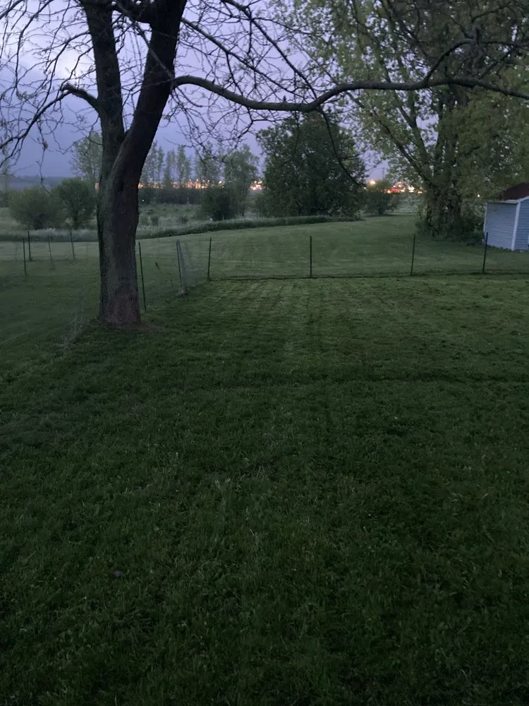 Trusted yard cleanup service for outdoor upgrades in Canastota, NY by B&L lawncare & property management