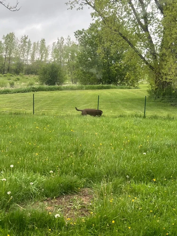 Affordable landscape installation experts serving Canastota, NY - B&L lawncare & property management