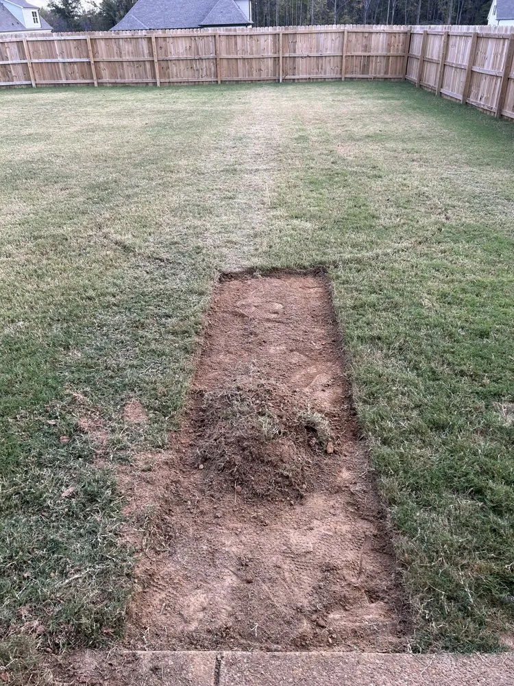 Trusted yard cleanup service experts serving Southaven, MS - B&L Management