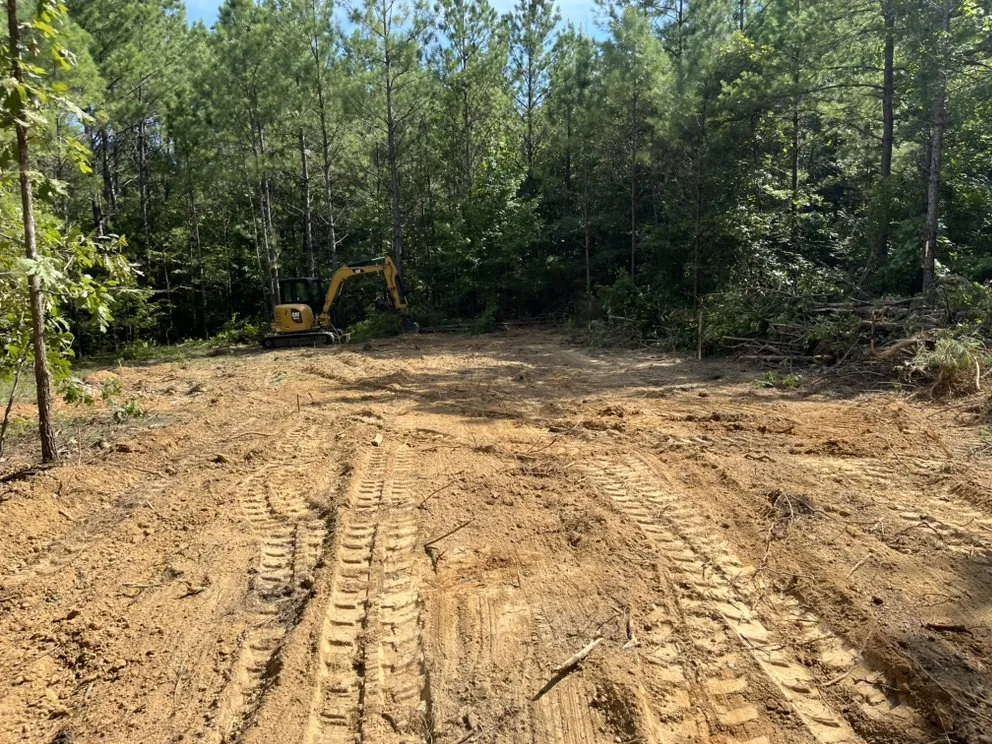 Affordable garden landscaping for beautiful yards in Southaven, MS by B&L Management