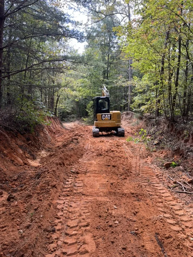 Affordable garden landscaping for year-round maintenance across Southaven, MS - B&L Management