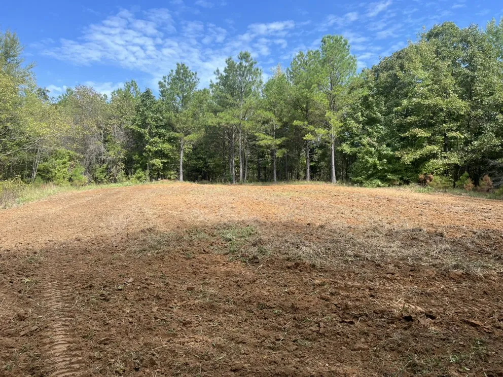 Top-rated yard maintenance experts serving Southaven, MS - B&L Management