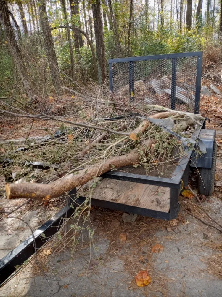 Affordable landscaping services with custom design across Rome, GA - Black & More Tree