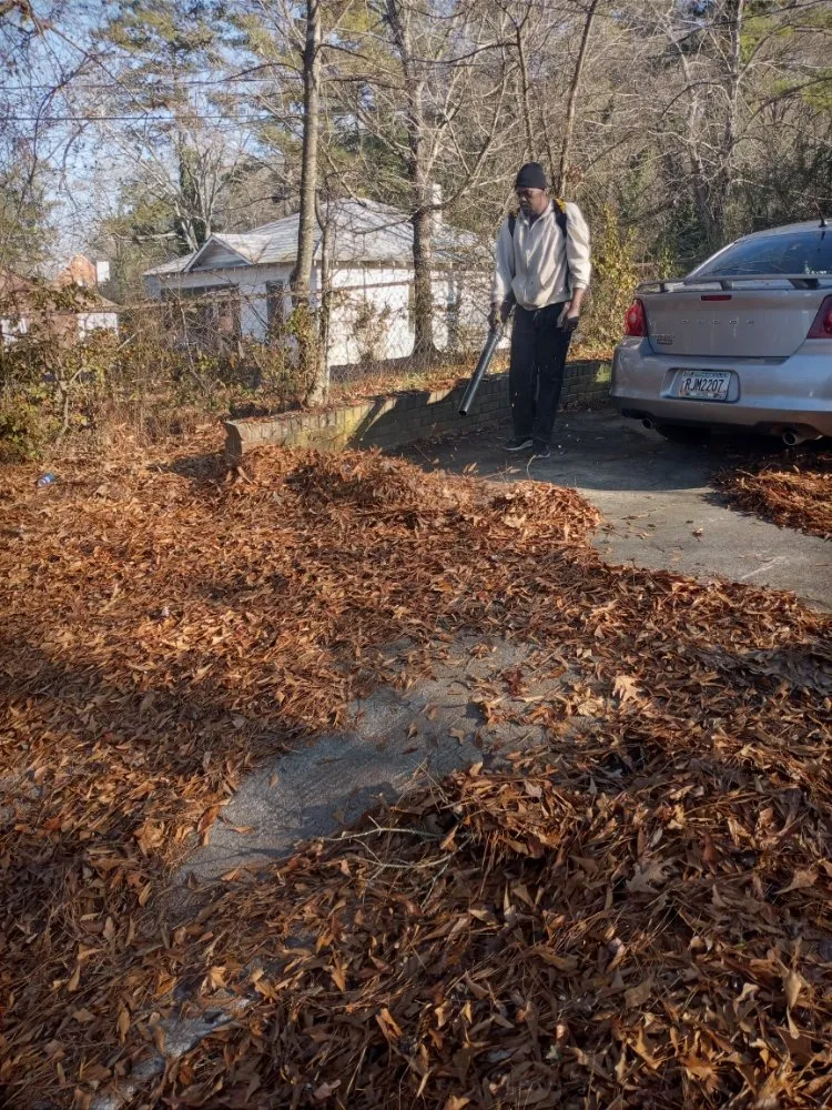 Affordable landscaping services in Rome, GA - Black & More Tree