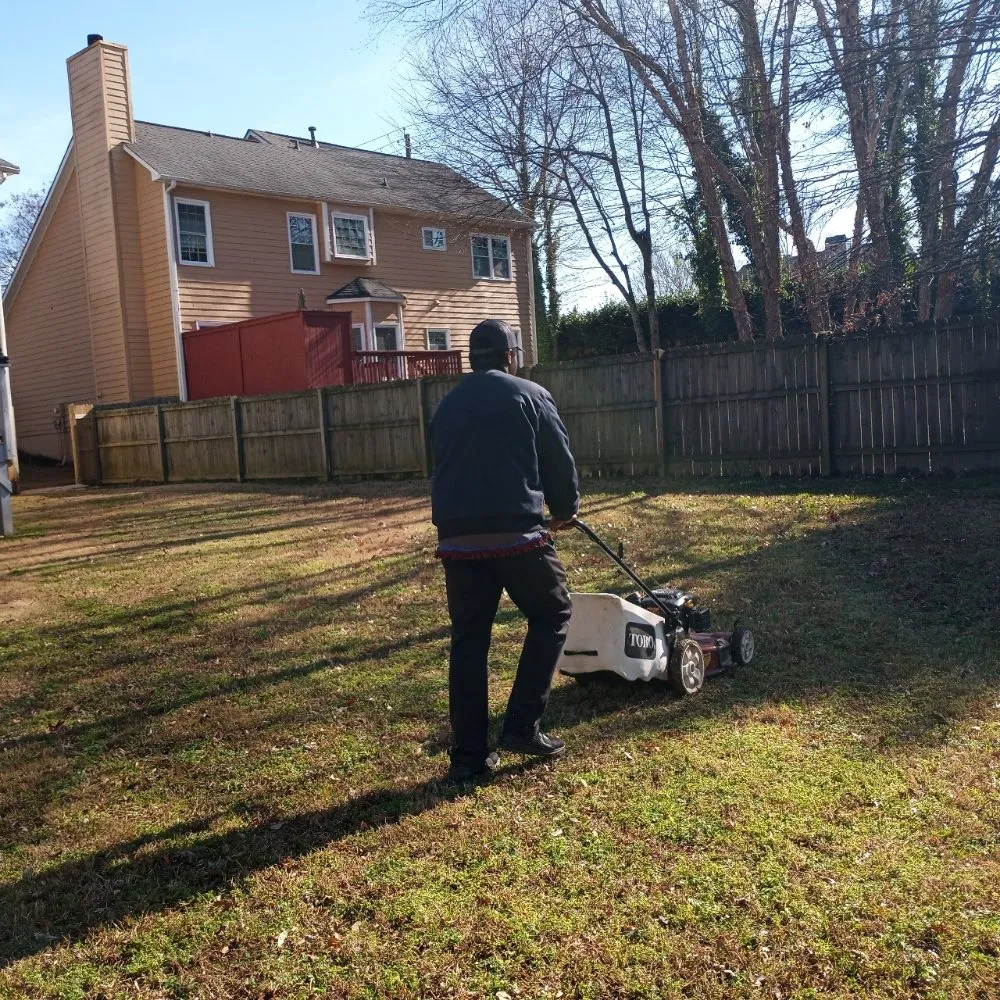 Reliable lawn care service experts serving Rome, GA - Black & More Tree