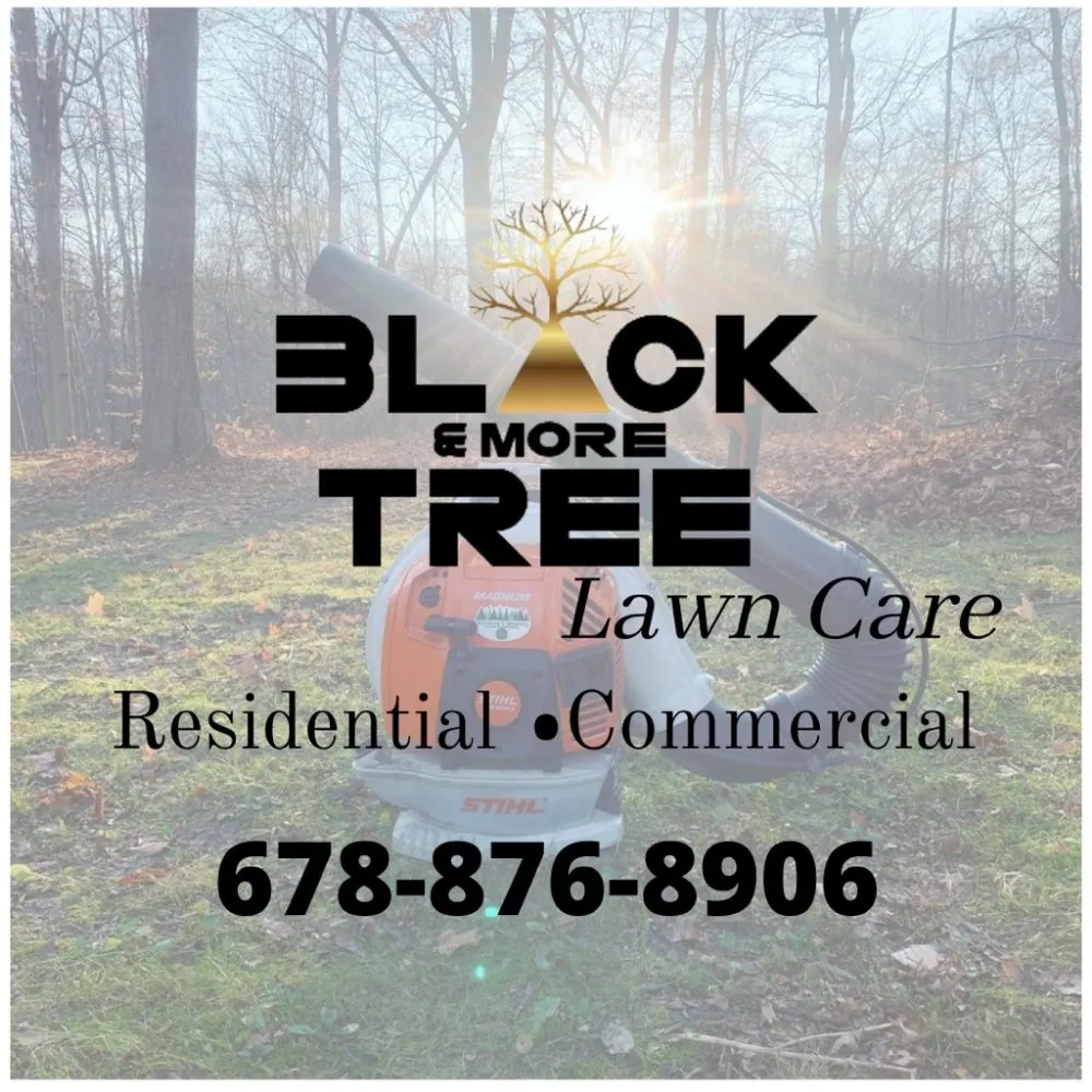Affordable landscaping services in Rome, GA - Black & More Tree