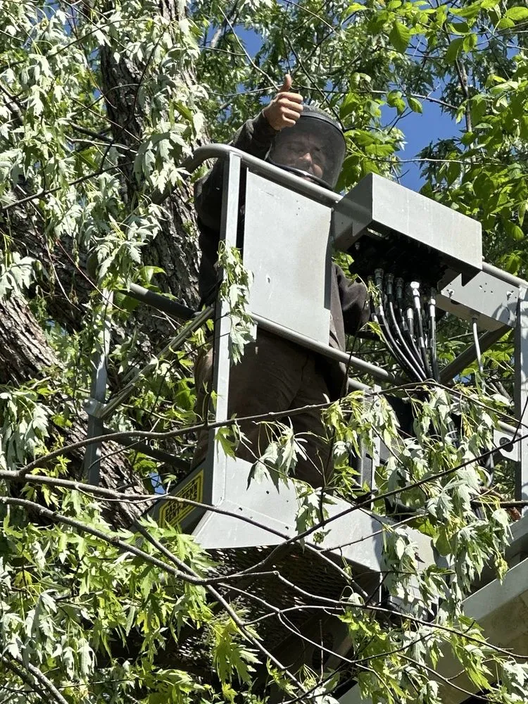 Professional landscaping services in Bluff City, TN by Black & Tan Turf & Timber