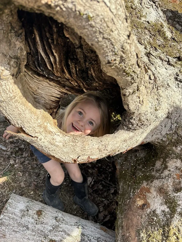 Local yard cleanup service for year-round maintenance in Bluff City, TN by Black & Tan Turf & Timber