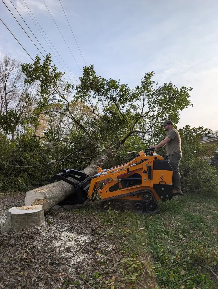 Affordable garden landscaping near you in Bluff City, TN by Black & Tan Turf & Timber
