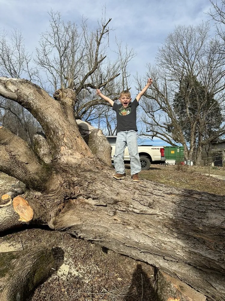 Expert yard maintenance for residential properties in Bluff City, TN by Black & Tan Turf & Timber