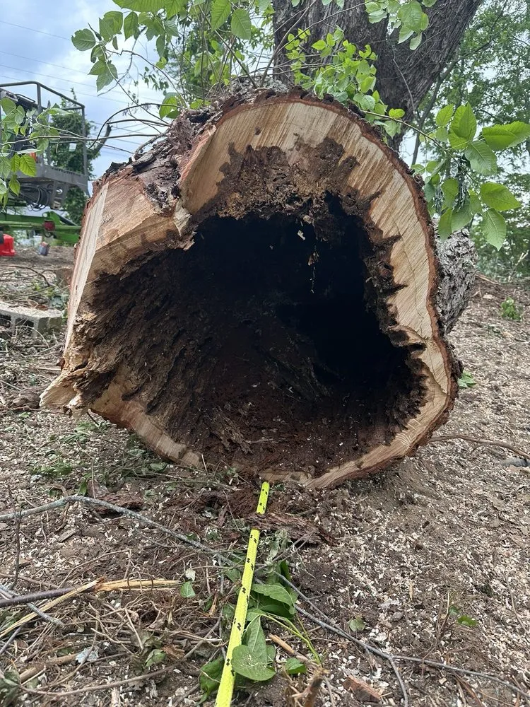 Local garden landscaping in Bluff City, TN - Black & Tan Turf & Timber
