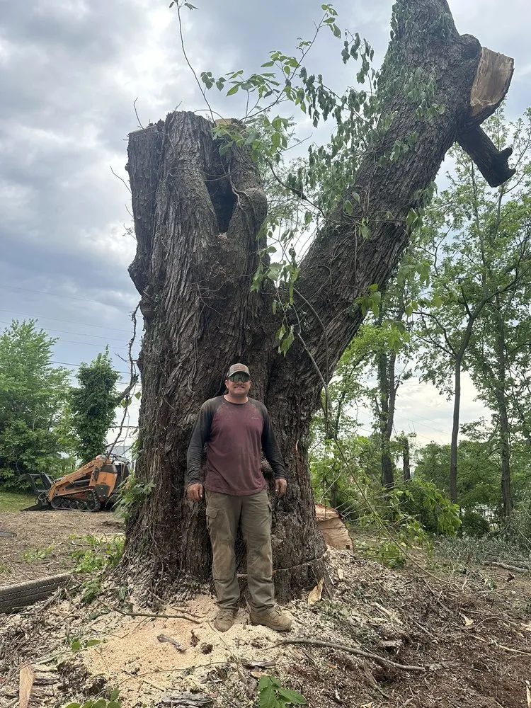 Custom lawn mowing service in Bluff City, TN - Black & Tan Turf & Timber