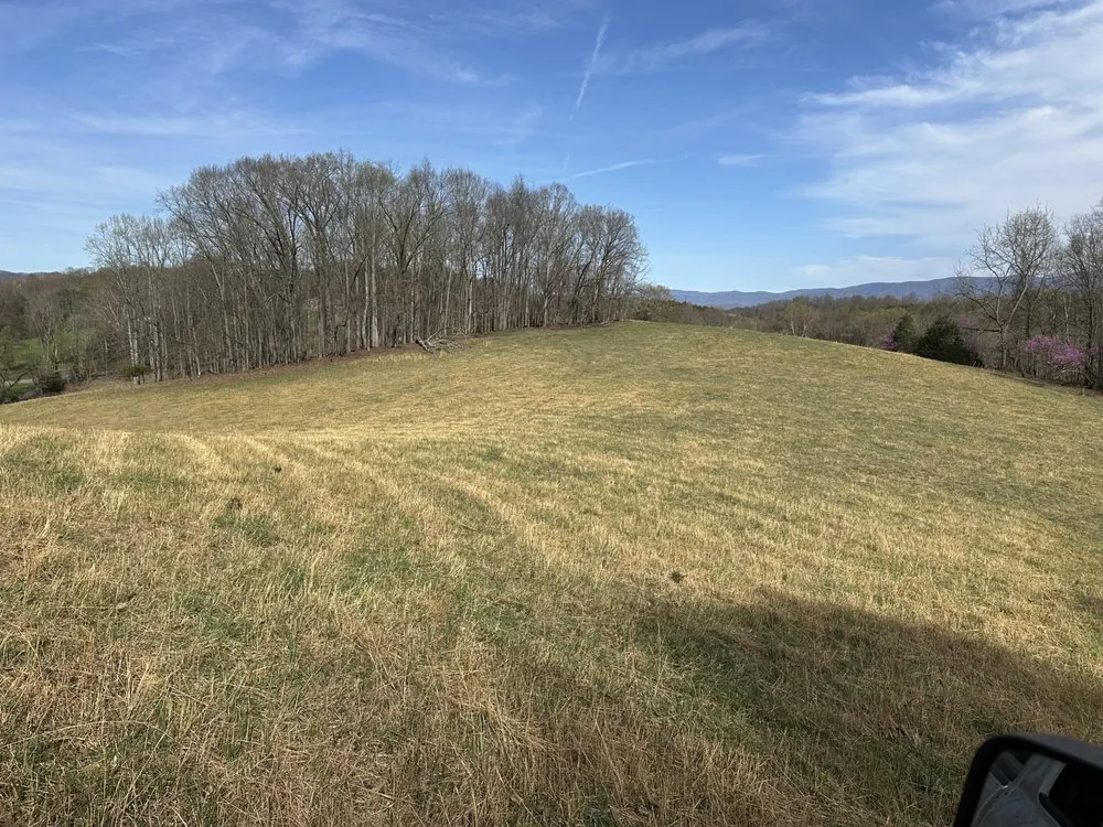 Trusted outdoor landscaping in Bluff City, TN by Black & Tan Turf & Timber