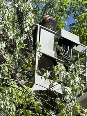 Black & Tan Turf & Timber