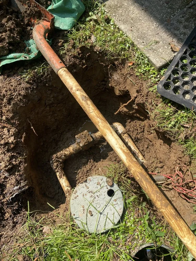 Professional outdoor landscaping in Newnan, GA by Black and White Landscaping