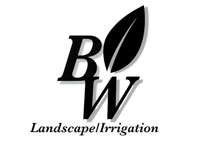 Reliable lawn care service for outdoor upgrades across Newnan, GA - Black and White Landscaping