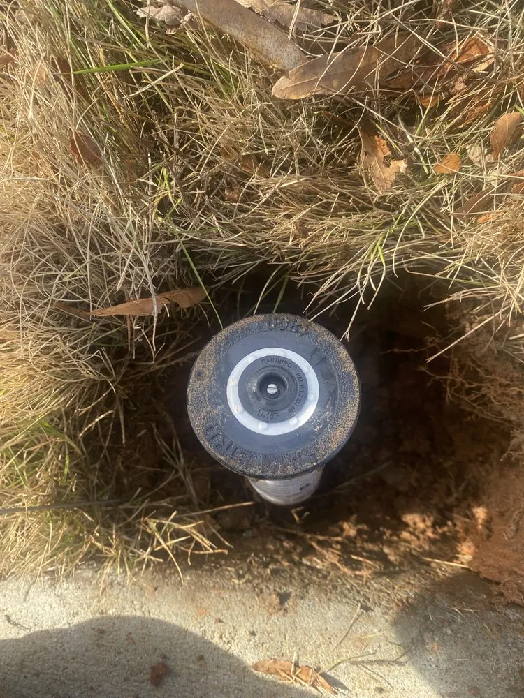 Expert garden landscaping experts serving Newnan, GA - Black and White Landscaping