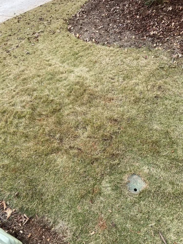 Local landscape design experts serving Newnan, GA - Black and White Landscaping