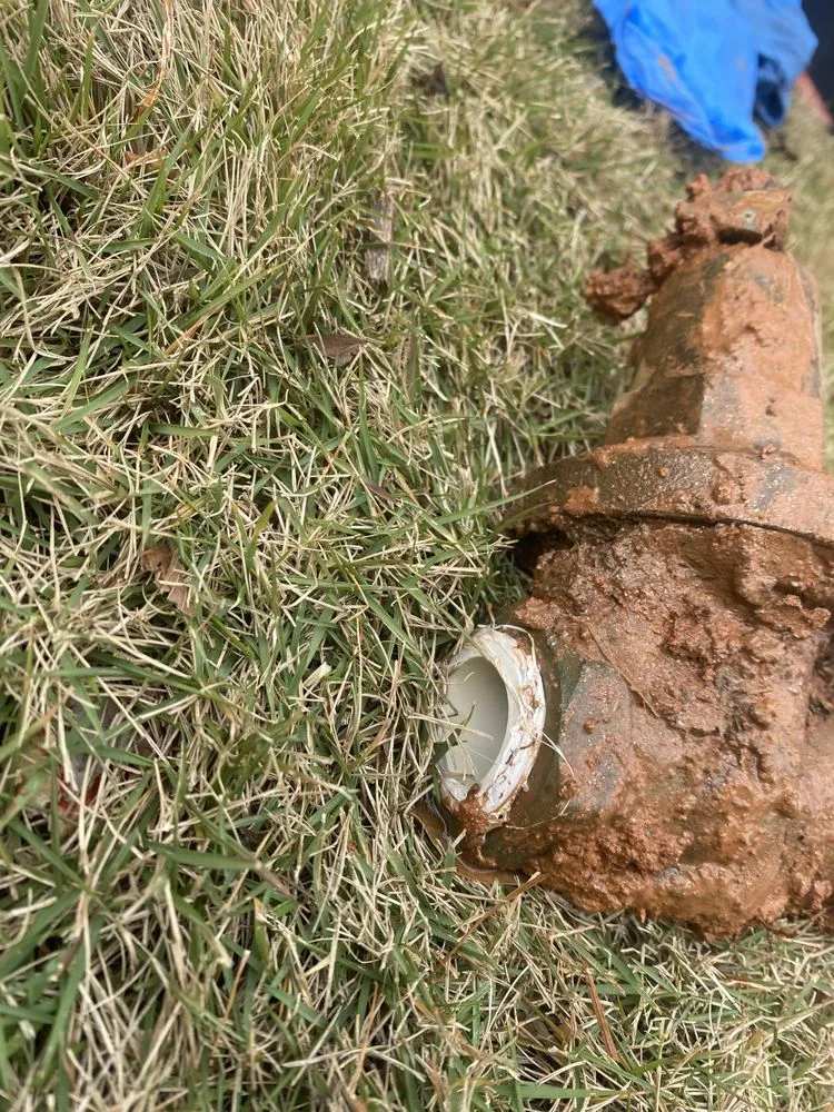 Affordable residential landscaping with custom design across Newnan, GA - Black and White Landscaping