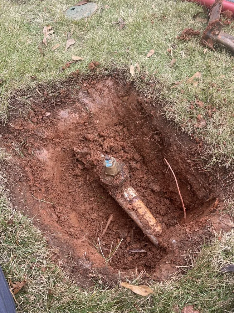 Affordable lawn care service with custom design across Newnan, GA - Black and White Landscaping