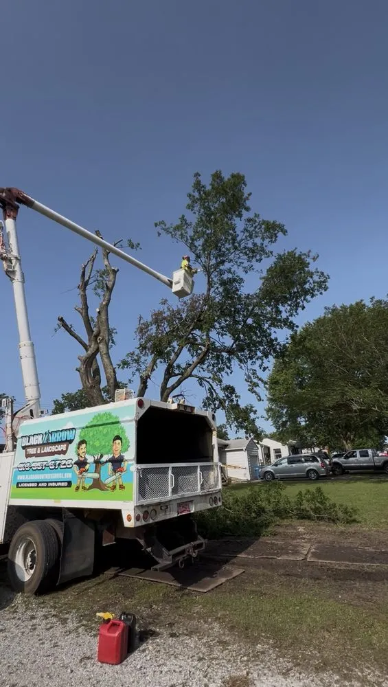 Professional yard maintenance near you across Broken Arrow, OK - Black Arrow Tree and Landscape