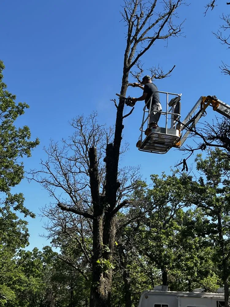 Trusted residential landscaping experts serving Broken Arrow, OK - Black Arrow Tree and Landscape
