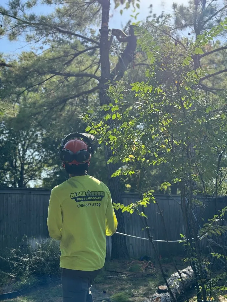 Trusted landscape installation in Broken Arrow, OK - Black Arrow Tree and Landscape