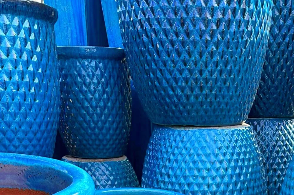 Local yard maintenance in Fort Myers, FL - Black Banyan Designs