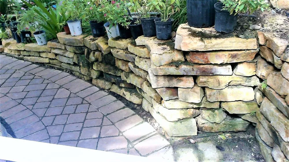 Reliable yard cleanup service for homes in Fort Myers, FL by Black Banyan Designs