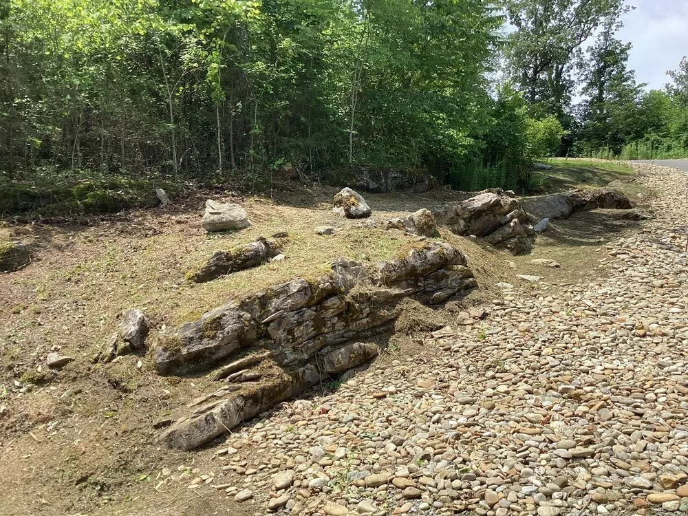 Trusted garden landscaping in Cosby, TN - Black Bear Lawn Care