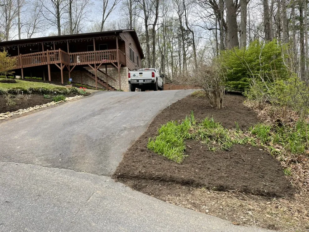 Custom yard cleanup service in Arden, NC by Black Bear Lawncare & Landscaping