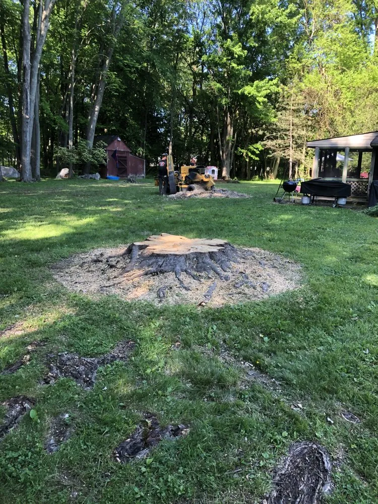 Expert lawn mowing service in Olmsted Township, OH - Black Bear Services