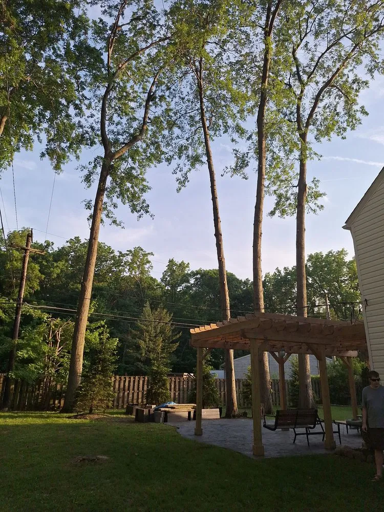 Reliable garden landscaping experts serving Olmsted Township, OH - Black Bear Services