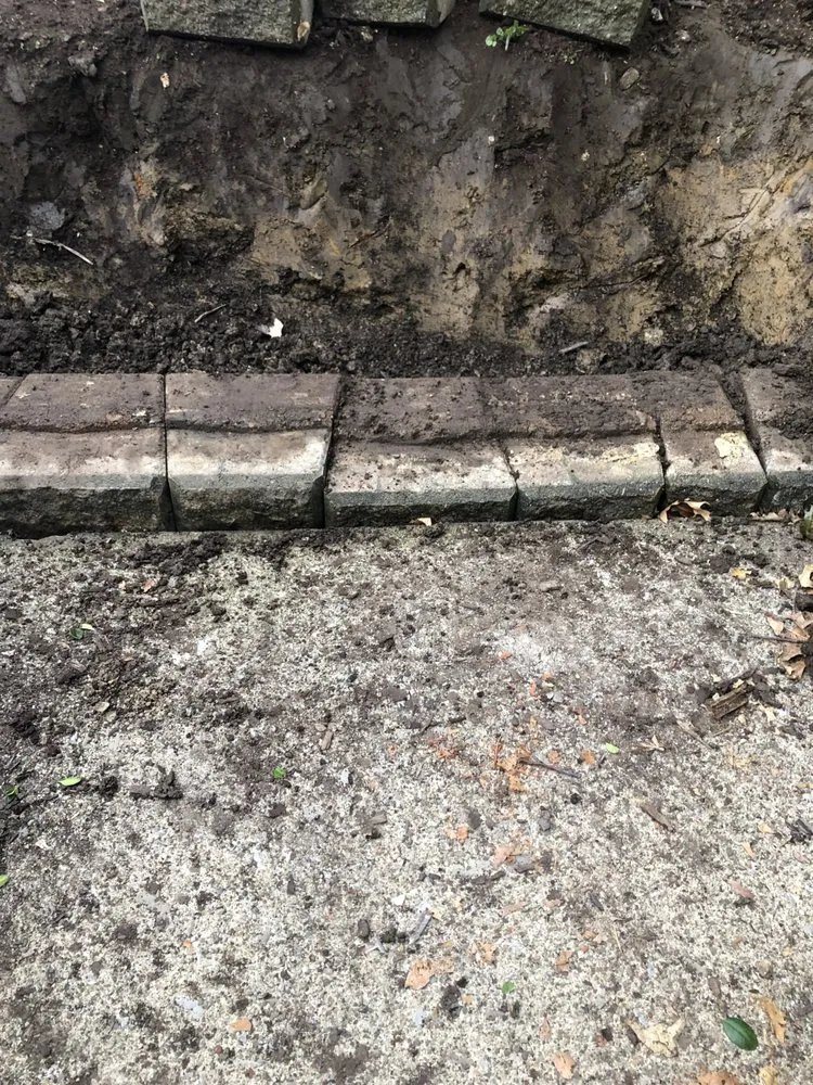 Reliable yard cleanup service experts serving Olmsted Township, OH - Black Bear Services