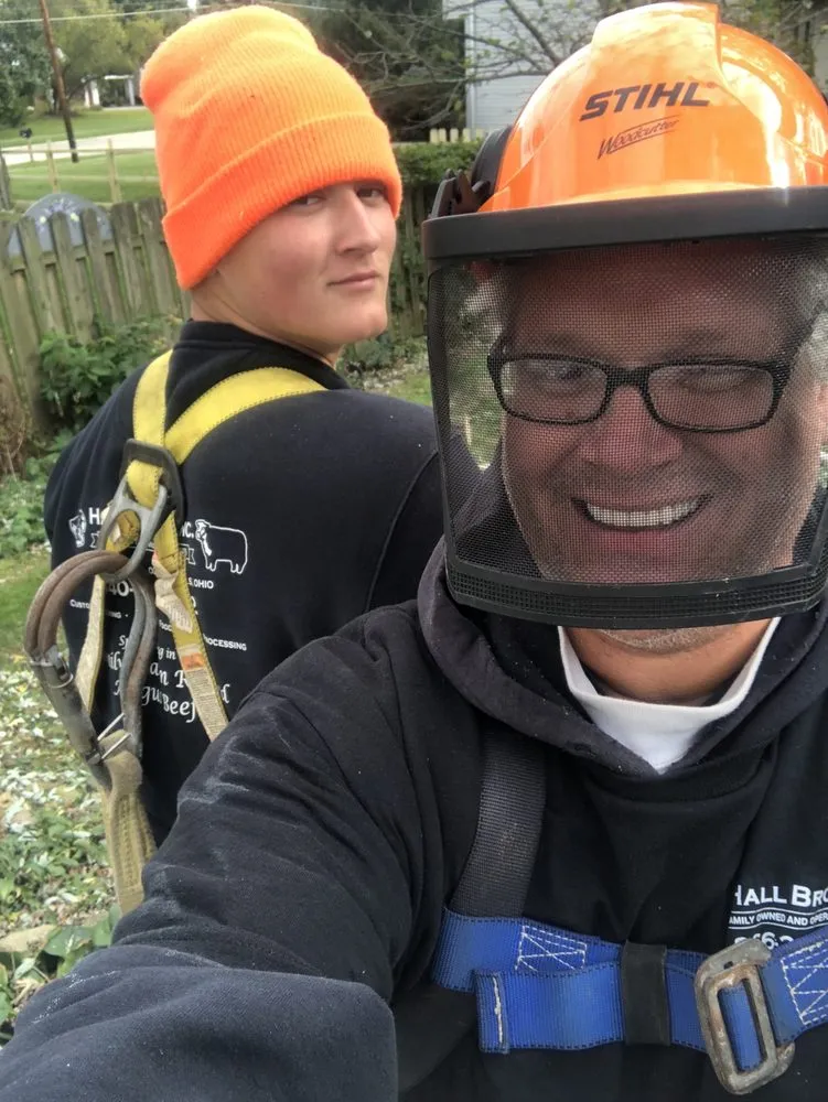 Affordable yard cleanup service near you across Olmsted Township, OH - Black Bear Services