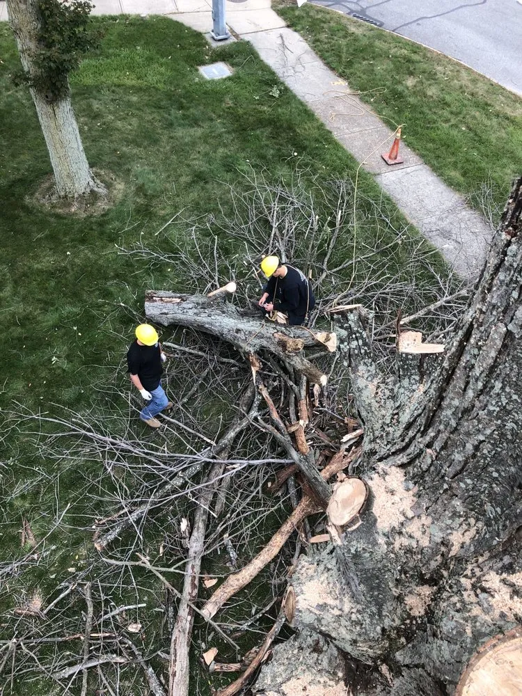 Affordable landscape installation in Olmsted Township, OH - Black Bear Services
