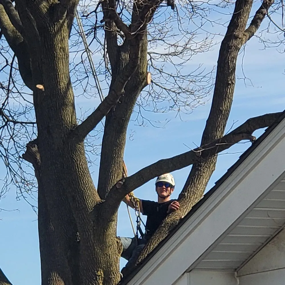 Expert residential landscaping for year-round maintenance across Olmsted Township, OH - Black Bear Services