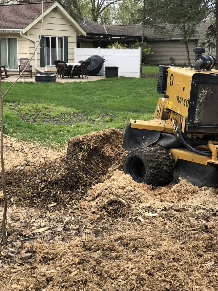 Reliable yard maintenance in Olmsted Township, OH by Black Bear Services