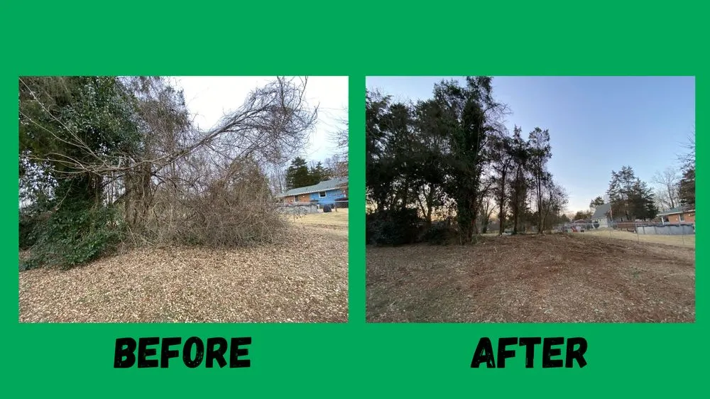 Local lawn care service experts serving Pfafftown, NC - Black Bear Tree Company