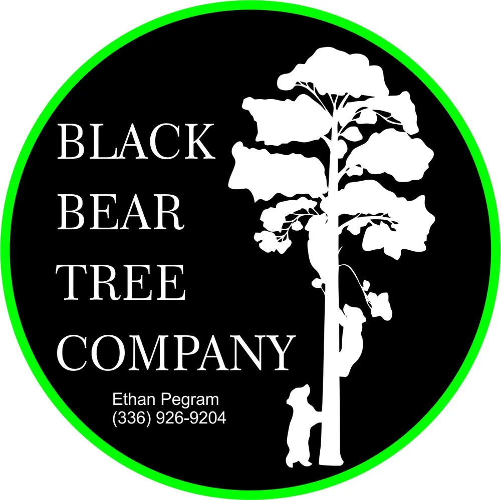 Expert residential landscaping for year-round maintenance across Pfafftown, NC - Black Bear Tree Company