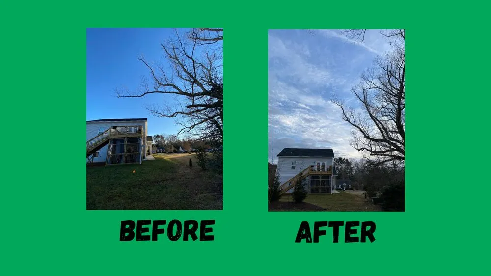 Affordable landscape design in Pfafftown, NC - Black Bear Tree Company