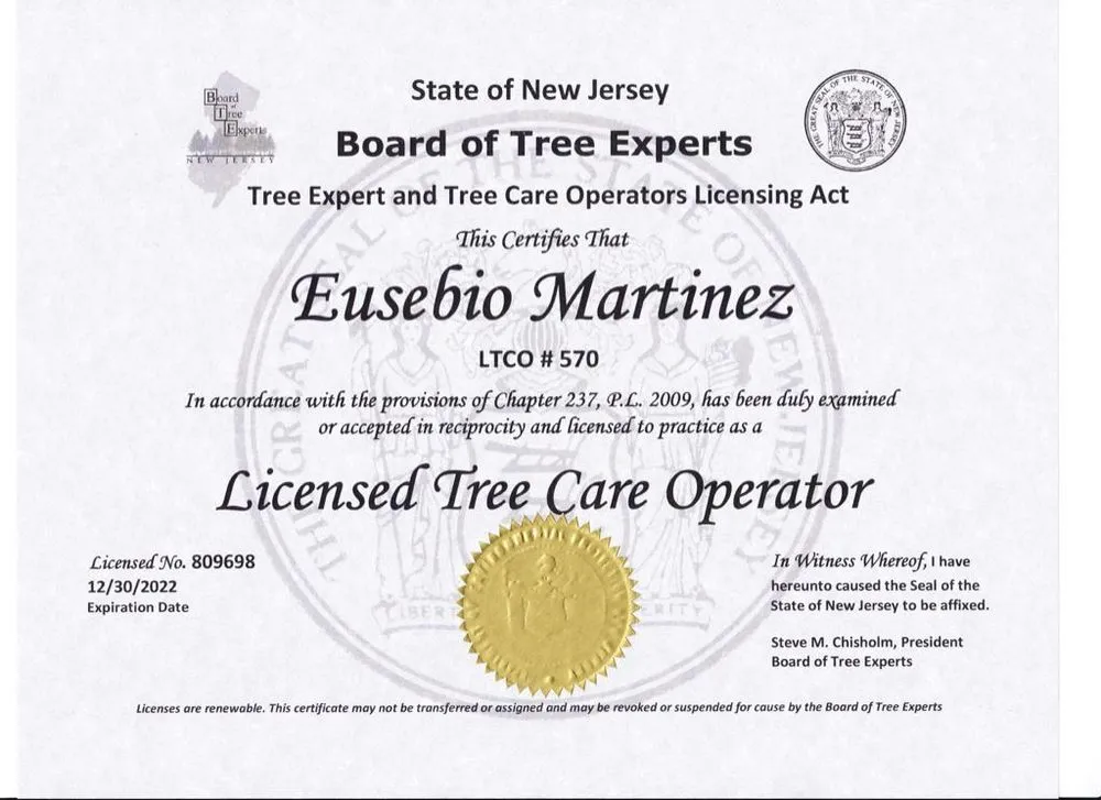 Custom garden landscaping for residential properties across Montvale, NJ - Black Bear Tree Services
