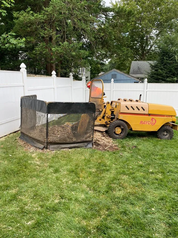 Professional outdoor landscaping for residential properties across Montvale, NJ - Black Bear Tree Services