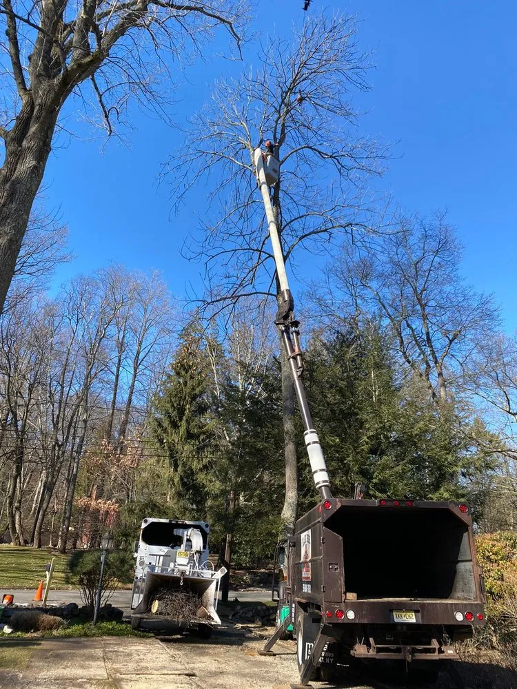 Trusted garden landscaping in Montvale, NJ - Black Bear Tree Services