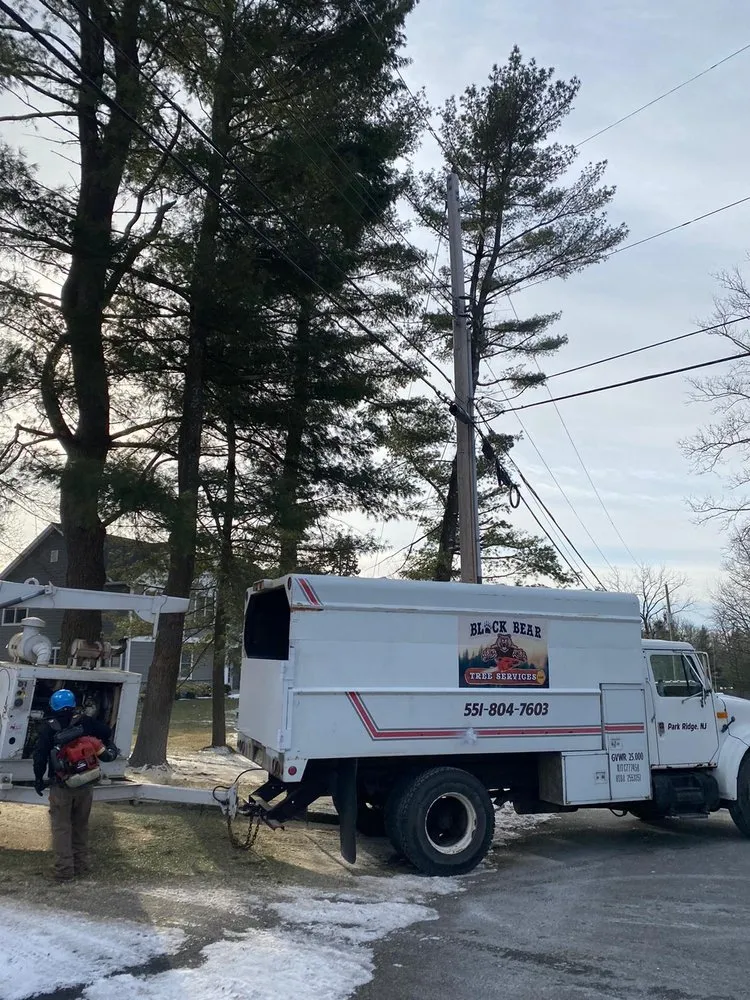 Custom landscape installation in Montvale, NJ by Black Bear Tree Services