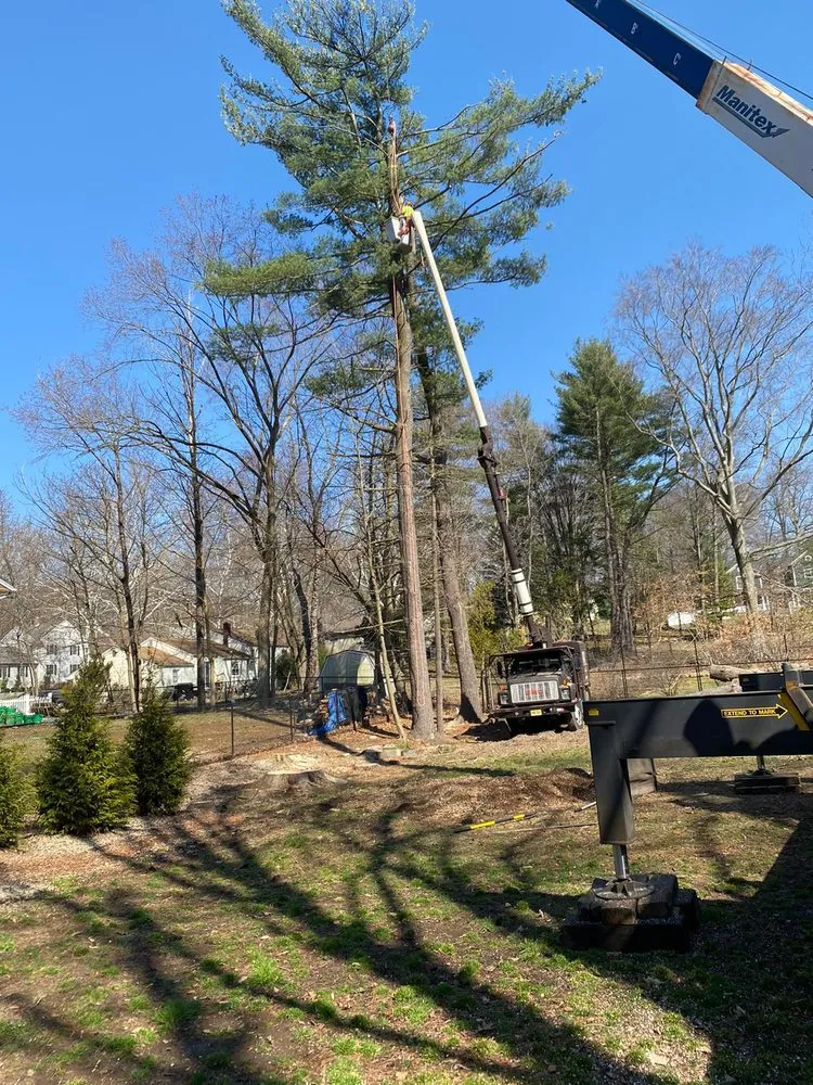 Local yard maintenance for year-round maintenance in Montvale, NJ by Black Bear Tree Services